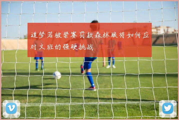 追梦若被禁赛罚款森林狼将如何应对文班的强硬挑战